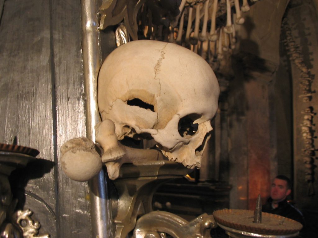 Kutna Hora Skull