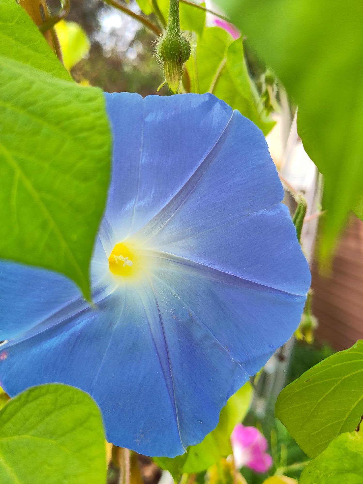 Method To This Madness