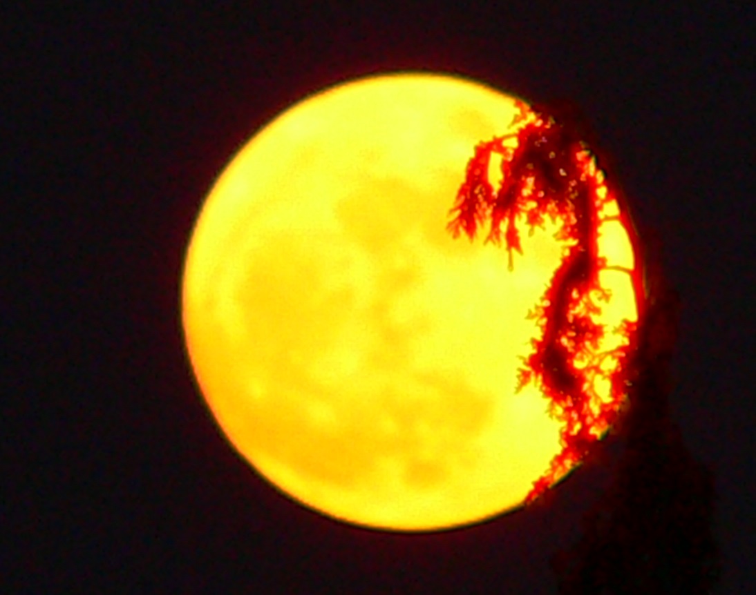 I’ve Knitted Myself Into A Sock